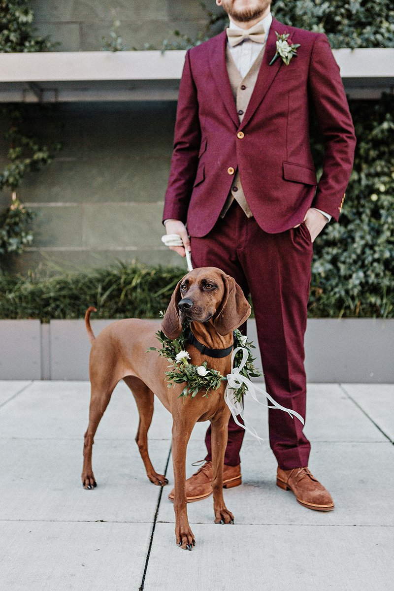 how to include your dog in your wedding day